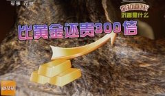 [科技苑]沉香种植效益高 价值是黄金的200倍