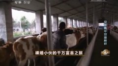 [致富经养牛]裸婚小伙申浩的千万富翁之旅