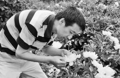 宾县毛兴东:芍药种植致富路