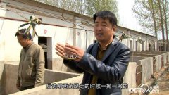 [致富经]山东阳谷县吕寻达养殖莱芜黑猪的财富路