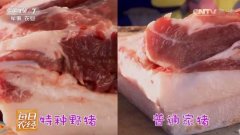 孙福林:养殖特种野猪好赚钱