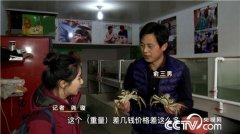 [致富经]俞三男:阳澄湖蟹状元是如何炼成的