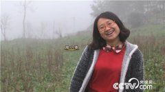 [致富经]重庆武隆周小英养豪猪穷家女儿如何年入200万