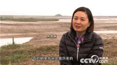 [致富经]倔强女人陈丽敏开农家乐 泥巴里淘出千万财富